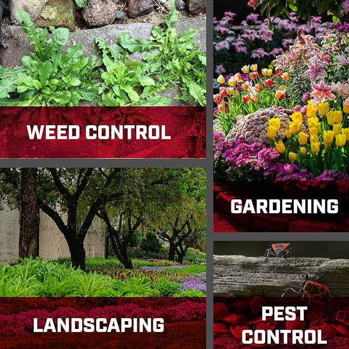 Chapin International 22541, Value Pack, 2-Pack, 1 Gallon Sprayer, 2 Pack, Translucent White