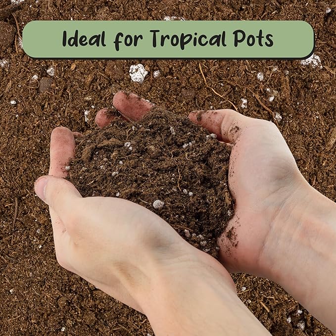 Bird of Paradise Potting Soil Mix (8 Quarts), All Natural Mix for Indoor/Outdoor Container Tropical Plants