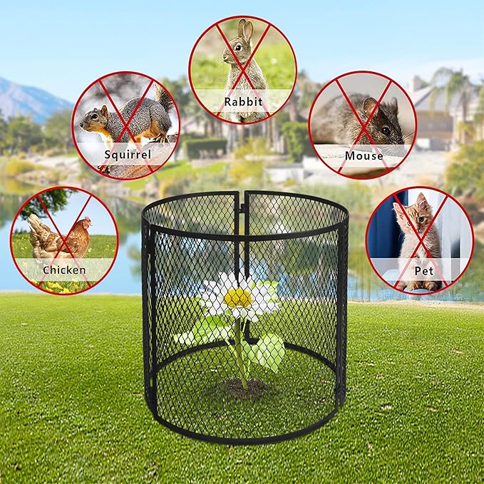 4 Pack Metal Plant Cage Protectors from Animals-11.8 x 11.8 Inch Garden Plant Protector - Sturdy Bunny Barricades Chicken Wire Cloche Plant Protectors for Keeping Bunny Animals Out