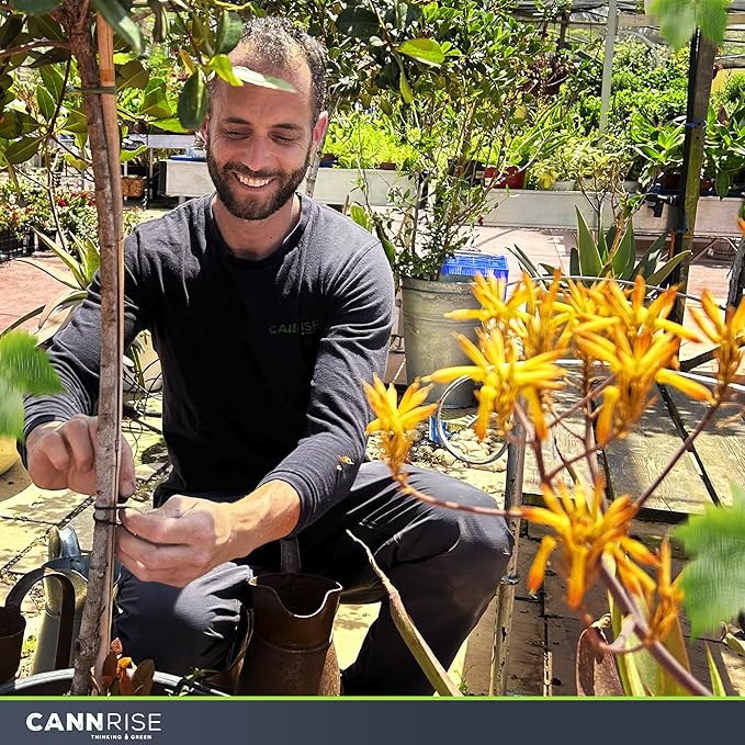 Anchor Rubber Bands for Trellising – 110 Pack of 5 cm/1.96 inches Rubber Bands for Outdoor Plant Support, Climbing Plants, Grape Vines, Trees – UV-Protected, Elastic, Multi-Purpose Use