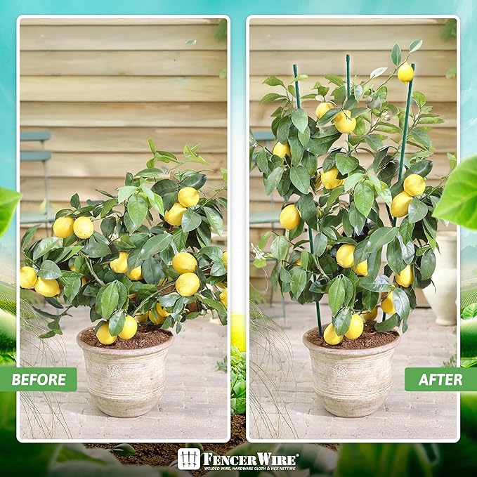 Fencer Wire 25 Pack of 7ft / 84 Inch Durable Metal Plant Supports Garden Stakes, Plant Stakes, Garden Poles for Outdoor & Indoor, Plant Support and Sticks for Tomato, Potted Plants, Beans, Cucumbers