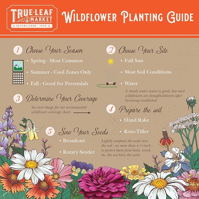 Pacific Northwest Wildflower Seeds - 1 Lb ~640,000 + Non-GMO Seed - 25 Varieties Including Poppy, Larkspur, Daisy & More - Pollinator Mix for Planting Outdoors