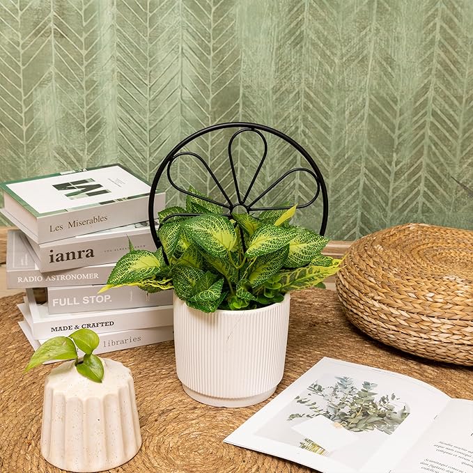 2 Pcs 14in Indoor Metal Garden Circle Plant Trellis for Houseplant Climbing Pot Plants, Black (Style B)