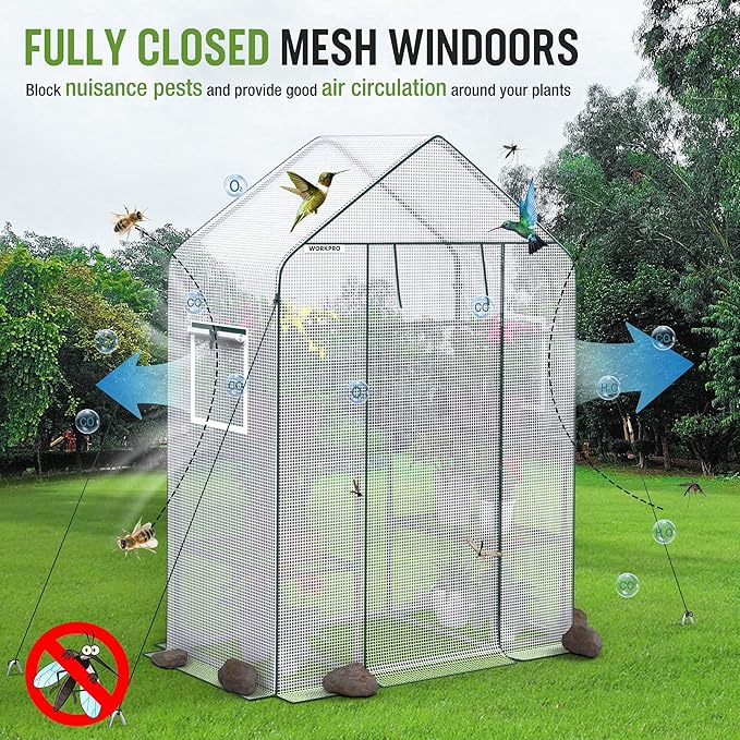 WORKPRO Greenhouse, 56"X 28" X 77" Portable Small Greenhouses for Outdoors & Indoors, Sturdy Green House Kit with Thicken PE Cover, Windows, 3 Tier 4 Shelves for Patio, Backyard, Balcony