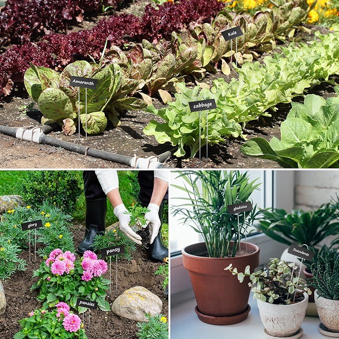50-Pack Metal Plant Labels Weatherproof Garden Markers,Height 10.6'', Label Area 3.5''X 1.2'' Reusable Nursery Tags for Vegetables Herb Flower Seed Greenhouse - Black