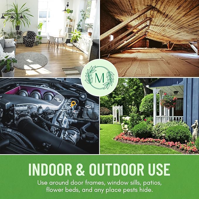 Minty Insect & Pest Control, Powerful & Natural 5% Peppermint Oil Spray for Ants, Spiders, Bed Bugs, Dust Mites, Roaches and More - Indoor and Outdoor Use, 128 fl oz Gallon