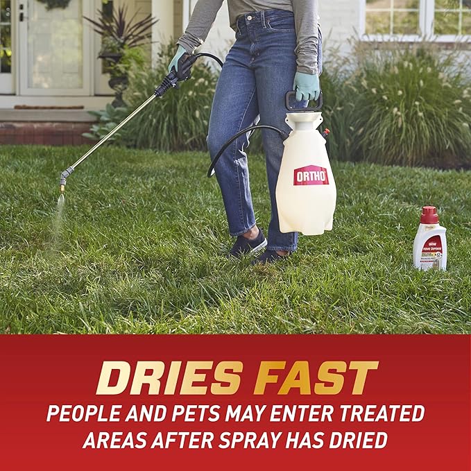 Ortho Home Defense Insect Killer for Indoor and Perimeter Concentrate, Kills Ants, Cockroaches and Spiders, 32 oz.