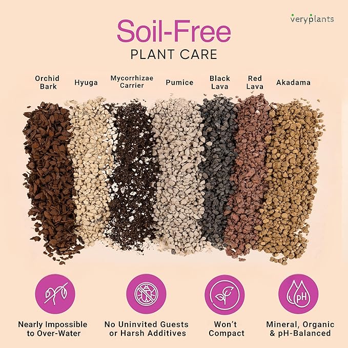 Molly's Succulent Mix - Premium Gritty Soilless Potting Mix for Succulents, Cactus and Bonsai - Contains Akadama, Hyuga, Bark Fines, Pumice, Lava Rock, Mycorrhizae 3 Dry Quarts