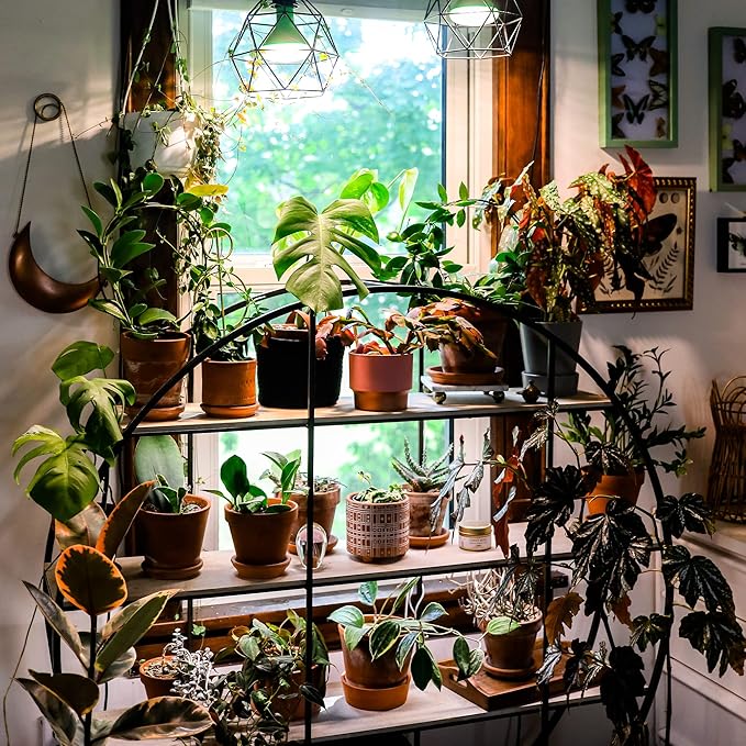 NorbBOTANIC BR30 LED Grow Light – Full-Spectrum Sunlight Bulb for Indoor Plants - 14W Energy-Efficient Grow Lamp for Indoor Houseplants, Herbs, Seedlings & Tropical - E26 Base (2-Pack)