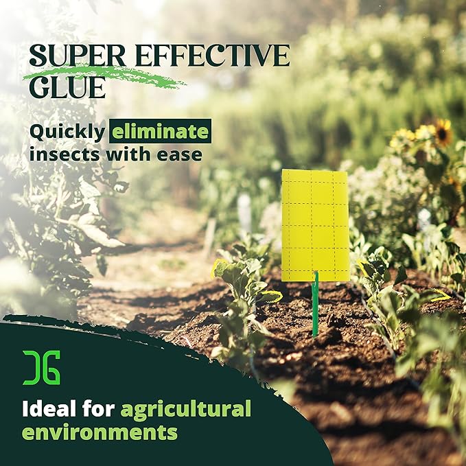 Catchmaster GRO Yellow Regular Double Sided Sticky Traps 36PK, Adhesive Bug & Fruit Fly Trap, Pest Control for Home, Farm, Garden, Hydroponics & Greenhouse, Protect Live Plants Indoor & Outdoor