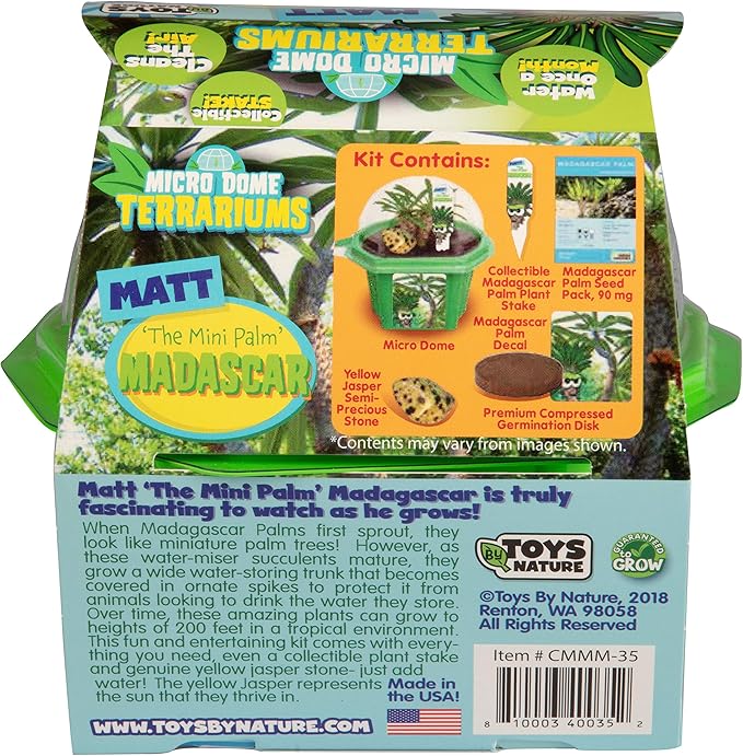 Toys by Nature Character Micro Domes Palm Plant Terrarium Starter Kit, Decorative and Easy-to-Grow Mini Terrariums with Complete Supplies and Genuine Jasper Stone! (Matt The Madagascar Mini Palm)