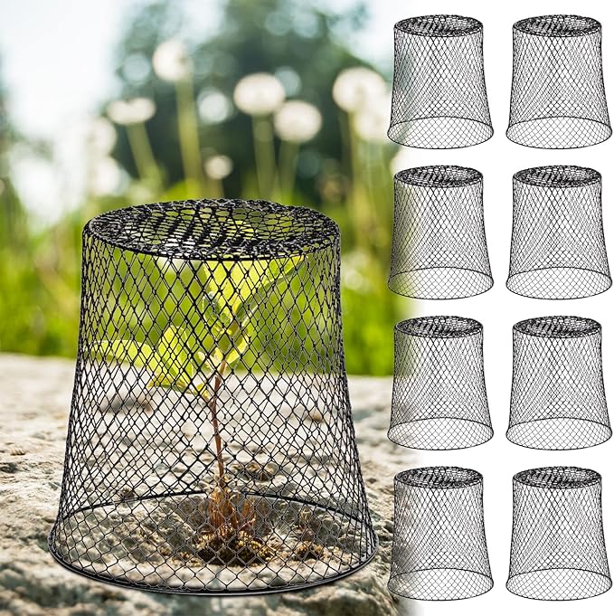 10 Pcs 8inch Chicken Wire Plant Covers Wire Garden Cloches Chicken Wire Cloche Plant Protector Metal Heavy Duty Garden Plant Cloche for Keeping Bunnies Chicken Squirrels Birds Other Out