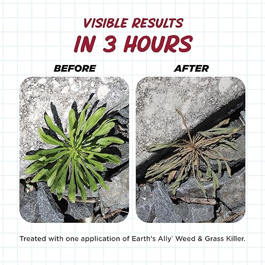 Earth's Ally Weed and Grass Killer 1 gal | Safe, Pet-Friendly Natural Weed Control Spray for Driveways & Sidewalks, Ready-to-Use - Bee Safe, No Glyphosate Weed Killer [OMRI - Amazon]