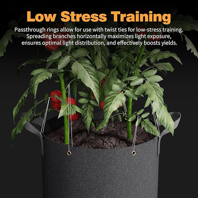 Self-Watering Grow Bags, 5-Pack 5 Gallon 420G Thick Nonwoven Fabric Pots with Reinforced Handles and Multi-Purpose Rings, for Low Stress Plant Training Fruits, Vegetables,and Flowers
