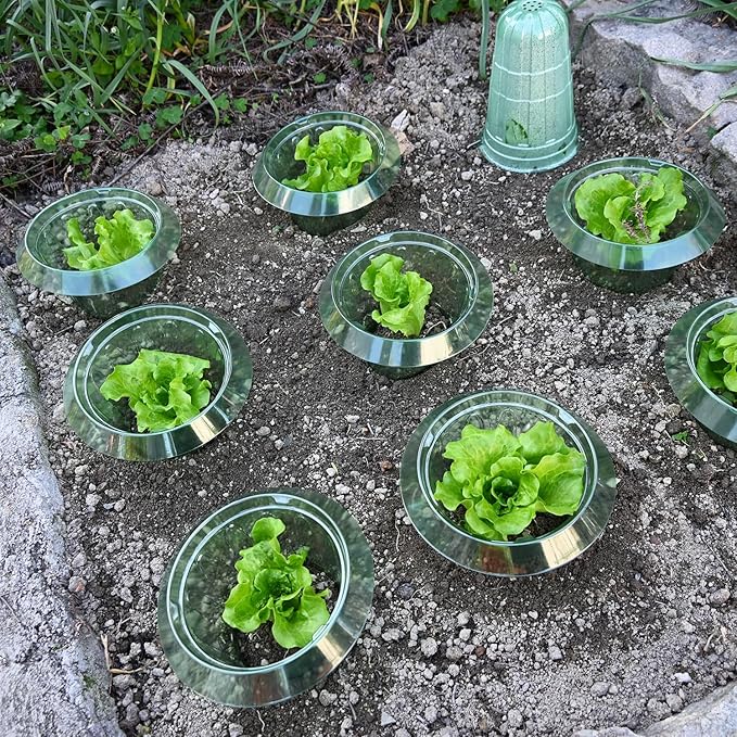 5 Pack Snail Collar(H:11cm) and 5 Pack Large Slug Collars(H:15cm) Set,Slug Collars Protects Plants to Get Better.