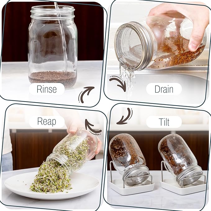 Sprout Growing Kit – Green Onion Regrower, 2 Wide-Mouth Mason Jars with Screen Lids, Blackout Sleeves & Ceramic Tray – Easy Microgreens Growing Kit for Alfalfa, Broccoli, Mung Beans