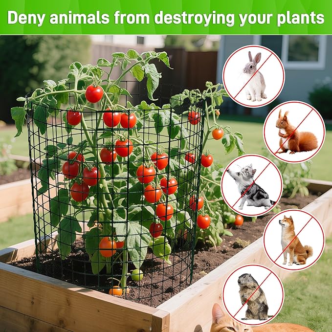 8pcs Plant Protectors from Animals, 16"x 12" Wire Plant Protector, Wire Cages for Plants with Stakes and Cable Ties, Metal Plant Cages for Plants, Vegetables, Flowers