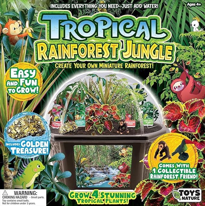 Toys by Biosphere Terrarium Starter Kit with Complete Supplies to Create Your Own Jungle! Indoor Plants for Home Displays and Gardens (Tropical Rainforest Jungle)