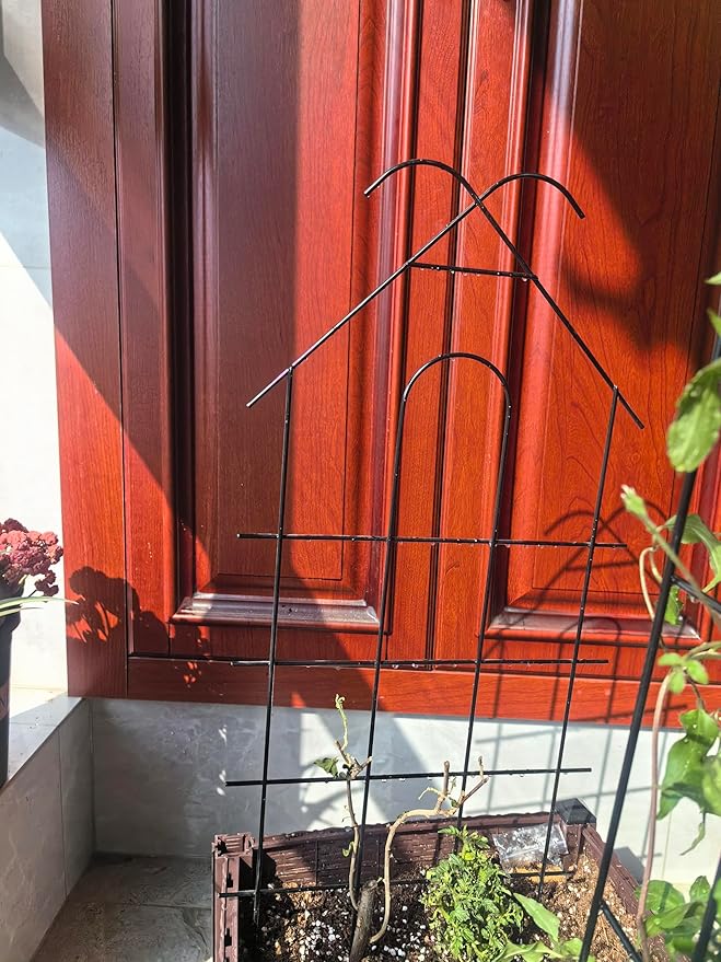 ARIFARO 24'' Metal Garden Trellis Indoor/Outdoor Sturdy Plant Trellis for Potted Plants,House Plants, Climbing Vines, Pack of 4, Black
