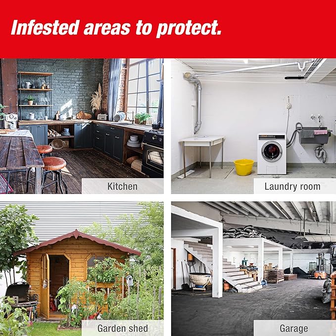 SWISSINNO Rat Trap PRO SuperCat – Large Snap Trap with Precision Trigger – Pre-Baited & Reusable – Instant Catch – Weather-Resistant Swiss Design for Indoor & Outdoor Use – 1 Trap