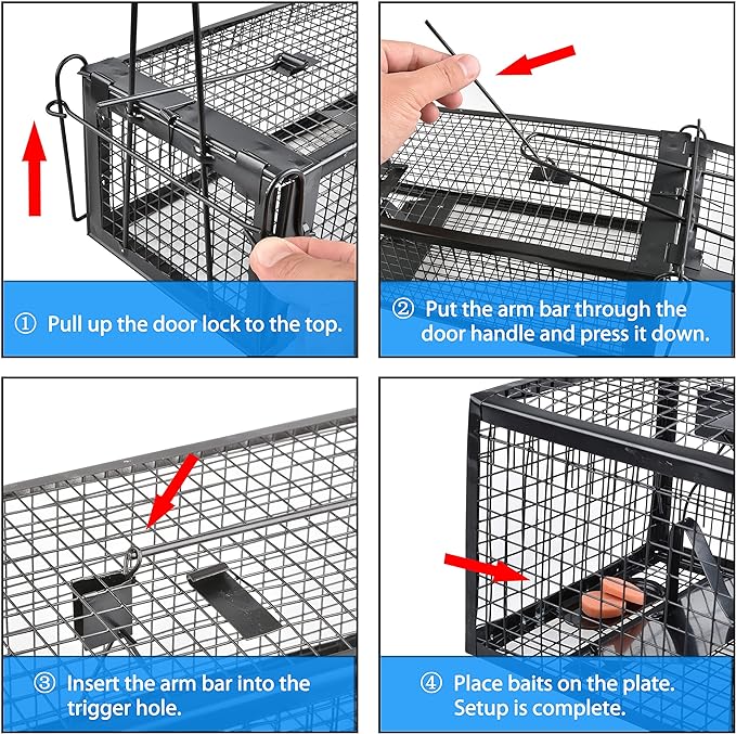 2-Pack Rat Traps Humane Live Mouse Vole Chipmunk Trap Cage for Indoors and Outdoors (Black)