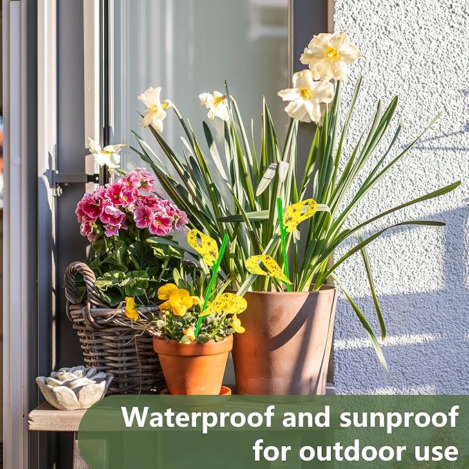 60PCS Yellow Sticky Traps for Gnats Fungus Gnat Traps for House Indoor Fruit Fly Traps for Indoor/Outdoor Catcher for Whiteflies Mosquitoes Thrips Aphids... Stake Holders Included Dual-Sided