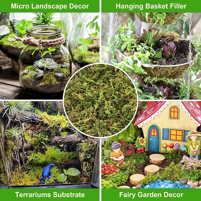 Legigo 3.5OZ Premium Forest Moss for Plants, 4QT Natural Green Sphagnum Moss for Potted Plants, Dried Orchid Moss Potting Mix, Soft Real Moss Decorative for Houseplants Orchids Succulents Reptiles