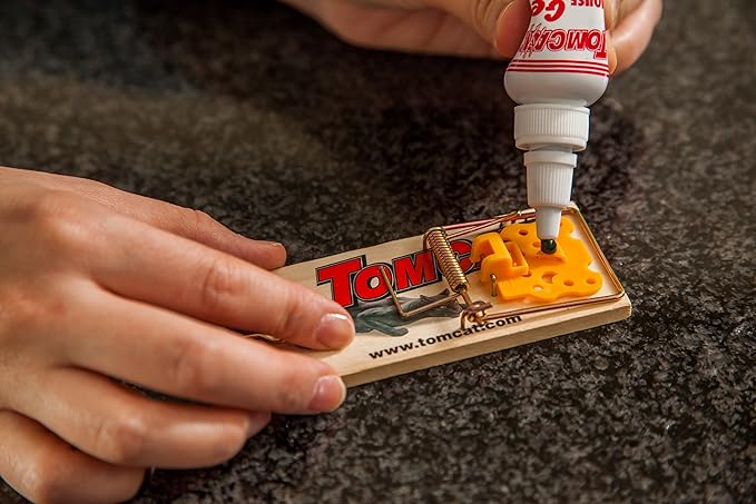 Tomcat Mouse Traps (Wooden), Inexpensive, Effective Way to Catch Mice in The Home, 2 Traps (Pack of 2)