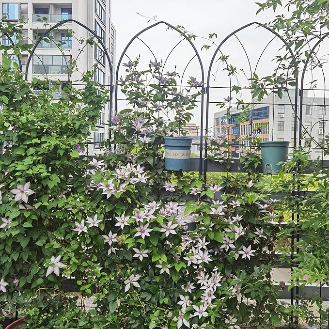 Metal Garden Trellis Rustproof Trellis for Climbing Plants Outdoor Flower Support (Black-4 Pack, 78.7"x19.7")