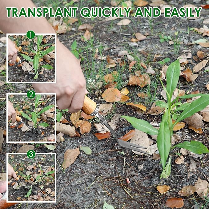 4 Pack Weed Puller Tool, Stainless Steel Hand Weeder Tool, Crevice Weeding Digger Tool, Gardening Tools for Cracks, Driveways, Lawn Edger, Moss Removal