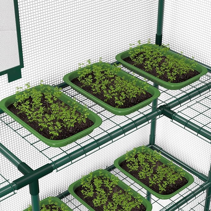 Walk-in Outdoor Greenhouse with 2 Mesh Windows, 4 Tiers, and 10 Shelves - Durable PE Cover, Pegs and Ropes for Stability- Perfect for Outdoor Gardens, Plants, Herbs, and Flowers (56x56x78 Green)