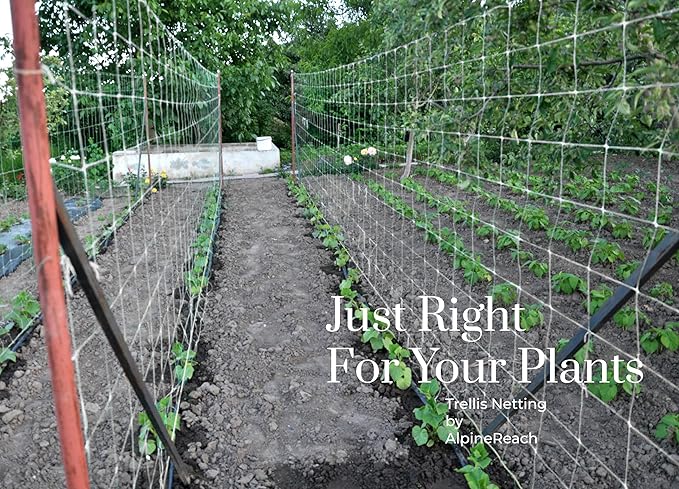 AlpineReach Trellis Netting 5 x 350 ft Heavy Duty Polyester White - 6 Inch Mesh Support Twine for Growing High Yield Tomatoes, Peas, Vine Climbing Plants Fruits Vegetables