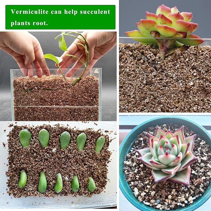 2QT Organic Vermiculite for Plants, Horticultural Soil for Potted Plants, Coarse Hydroponic for Succulent Orchid Gardening Reptiles