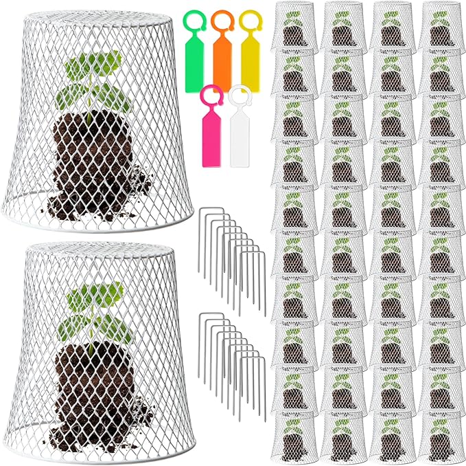 40 Pcs 8 inch Chicken Wire Plant Covers,Wire Garden Cloches Chicken Wire Cloche Plant Protector Metal Heavy Duty Garden Plant Cloche for Keeping Bunnies Chicken Squirrels Birds Other Out
