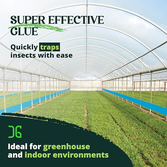 Catchmaster XL AG Roll 2PK, Double Sided Adhesive Fly Tape Strips, Fungus Gnat Sticky Trap for Greenhouse, Garden, Nursery, Pest Control Gardening Supplies, Pet Safe Insect Trap, 328' x 12", Blue