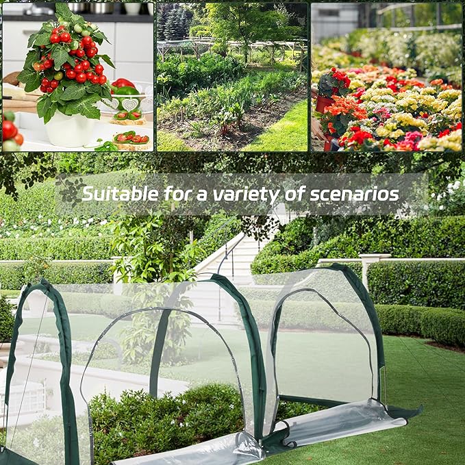 Portable Tunnel Greenhouse for Outdoors - Transparent Mini Greenhouses Ideal for Backyards and Outdoor Vegetable Cultivation (2M)