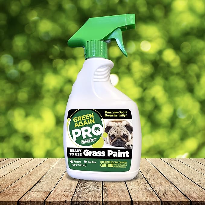 Pre-Mixed Grass and Turf Paint - All Natural Pet-Friendly Lawn Colorant Turns Spots Green Again with Eco-Friendly Point-and-Spray Application (16 oz) (Cool Season Grasses)