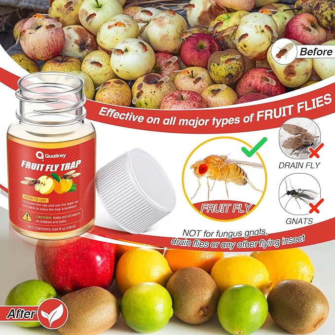 Qualirey 6 Pack Fruit Fly Traps for Indoors, Fruit Fly Killer and Catcher, Trap Refill Liquid for Home & Kitchen, Non Toxic Safe Near Food, Effective Lure Refill for Indoor Use