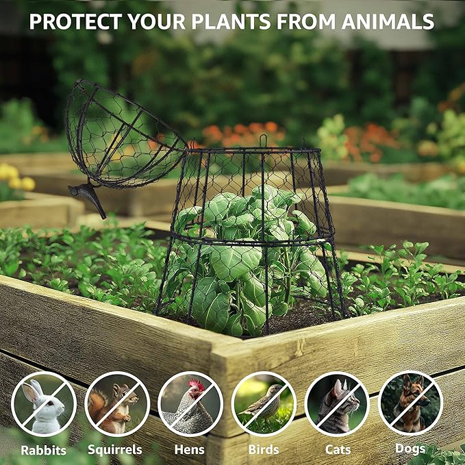 Pack of 10 Heavy-Duty Chicken Wire Plant Cloches – Rustproof Garden Protectors and Plant Cages for Vegetables and Flowers – Safeguard Plants from Deer and Critters – 20” x 12”