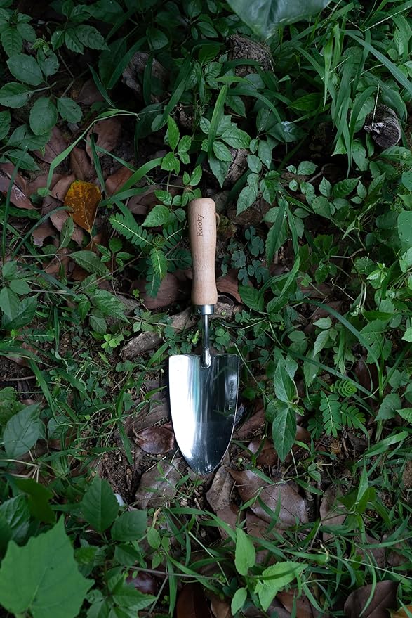 Rooty Gardening Hand Trowel with Stainless Steel, Wooden Handle,Easy forTransplanting,Weeding,Digging,Planting/Rust Resisitant