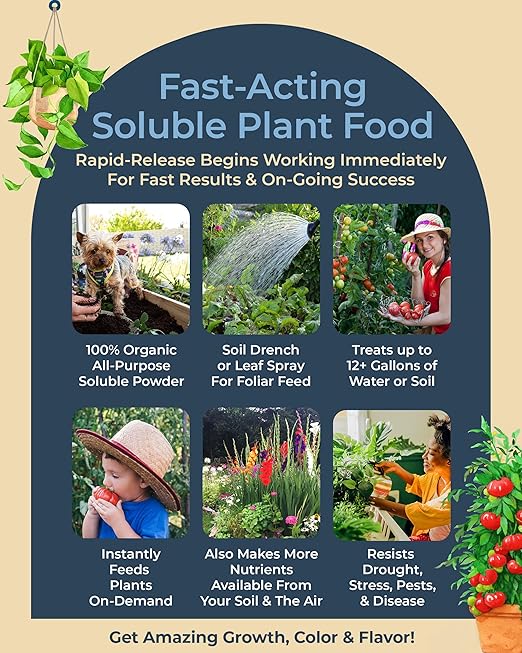 Organic Plant Magic - Truly Organic™ Easy to Use Soluble Plant Food Shaker: All-Purpose Fertilizer Concentrate for All Flower Vegetable Herb Fruit Tree Indoor Garden & House Plants [One 3 oz Shaker]