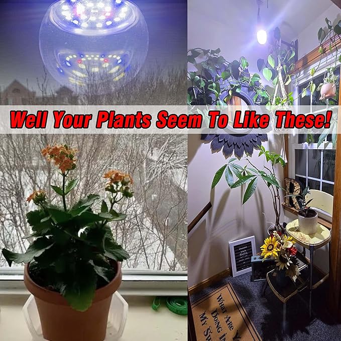 LED Grow Light Bulb for Indoor Plant 9W A19 Plant Light Bulb for Winter with 5000K Red Blue 100W Equivalent Full Spectrum E26 Grow Light Bulb for Seed Starting, Flowers, Hydroponic, Succulents, 3 Pack