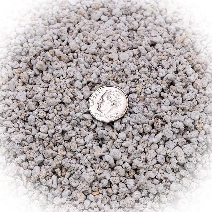 Organic Perlite - Medium/Fine Grade (5 Quart Bag) Horticultural Soil Amendment for Indoor & Outdoor Container Plants for Drainage Management and Enhanced Growth