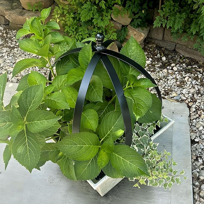 Set of 2 Metal Garden Trellis Obelisks - Durable Black Powder Coated Round Climbing Frames for Plants - Ideal Decorative Support for Flowers & Vines - Ideal for Indoor & Outdoor Gardens