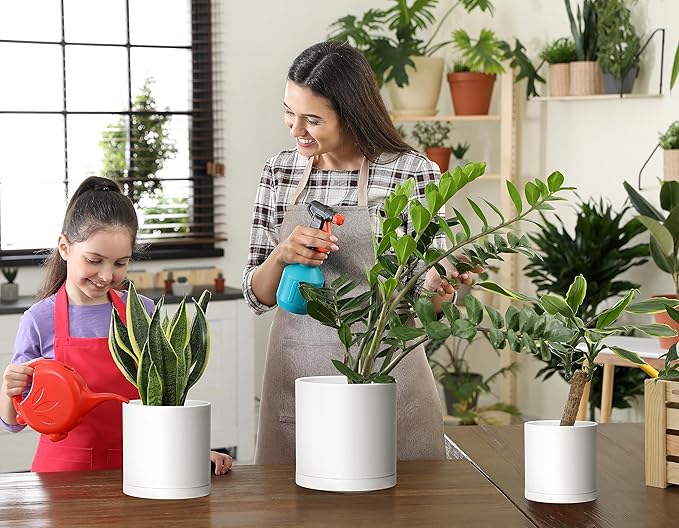 D'vine Dev 4.5 Inch 5.5 Inch 6.5 Inch, Set of 3 Plastic Planter Pots for Plants with Drainage Hole and Seamless Saucers, White Color, Small Plus, 74-V-A-2