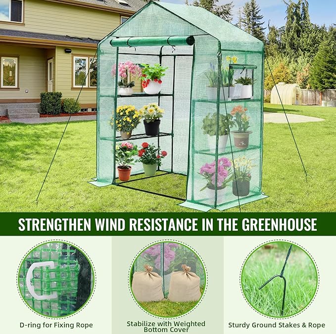 Greengro Greenhouse, 28 x 57 x 76'' Greenhouses for Outdoors, Small Plant Green House with Screen Windows, 3 Tiers 4 Shelves, Durable PE Cover, Plastic Portable Wall in Greenhouses for Outside Indoor