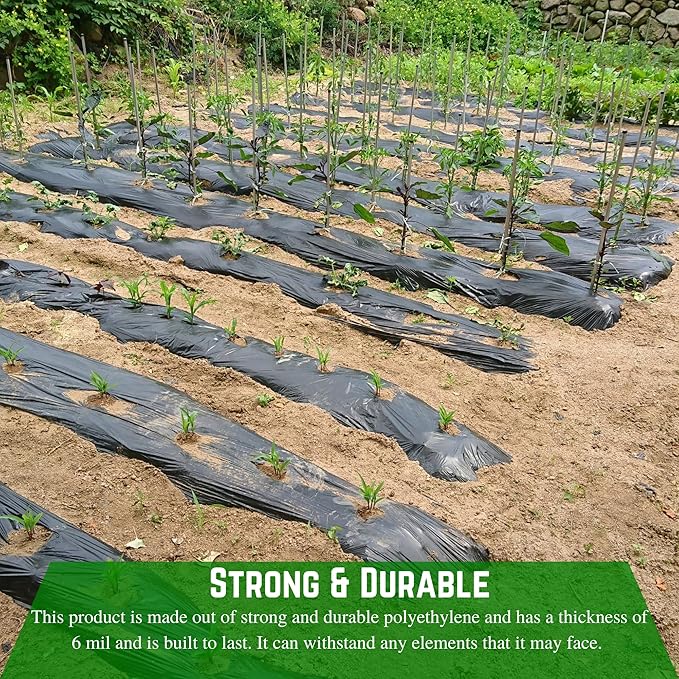 Farm Plastic Supply - Weed Control 6 Mil Black Plastic Sheeting - Heavy Duty Weed Barrier Landscape Fabric for Outdoor Gardens, Non Woven Weed Blocker Fabric, Weed Control (10' x 100')