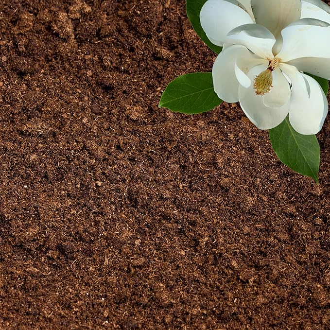 Peat Moss for Plants – Organic Sphagnum Peat Moss for Orchids, Terrariums, Seed Starting, Reptiles & Potting Soil Mix (30 quarts)