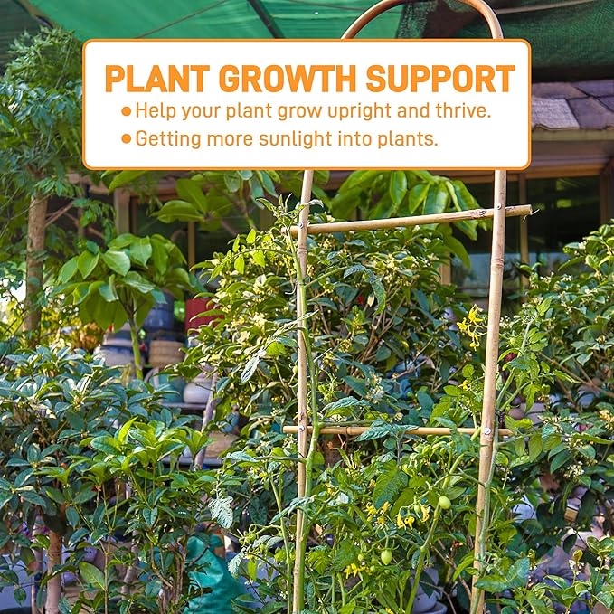 Avalution 10 Pack Bamboo U Trellis for Climbing Plants, 4 FT Garden Ladder Trellis for Potted Plants Indoor, Ladder Small Plant Support Trellis for Houseplants Ivy Hoya Vine Monstera