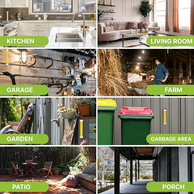 Trappify Hanging Fly Traps Outdoor: Fruit Fly Traps for Indoors | Gnat Trap | Gnat Traps for House Indoor | Fly Trap Indoor - Disposable Sticky Fly Trap for Indoor House Pest Control (8 Pack)